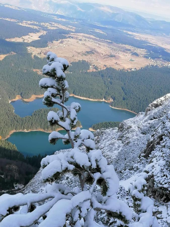 Apartments Snowflake Žabljak Kültér fotó